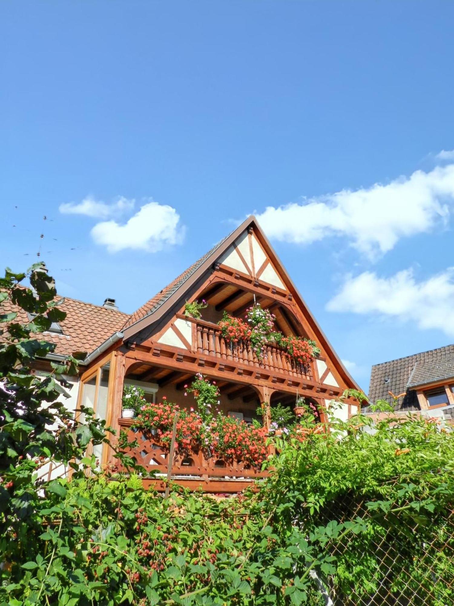 Maison Charmante Avec Vue Sur La Montagne A Triembach-Au-Val Exterior foto